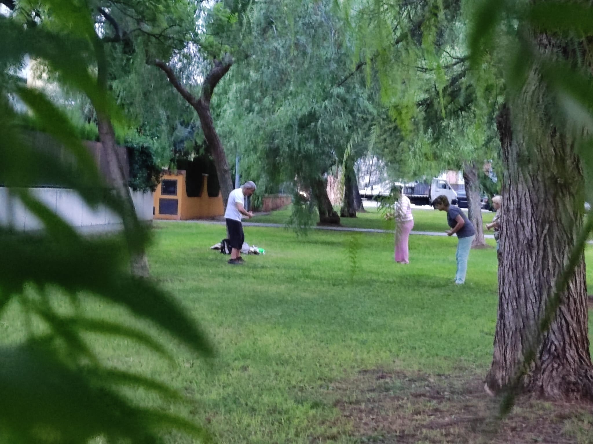 Clases de chikung (qigong) en parque, organizado por Centro Jade Almazora